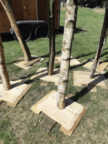 BERK- EN EIKENBOS 10STUKS (voor verlichting)
