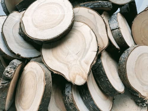 BOOMSTAMSCHIJFJES 20 STUKS